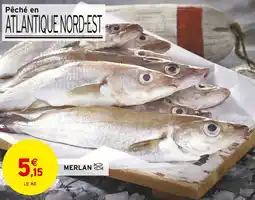 Intermarché Merlan offre