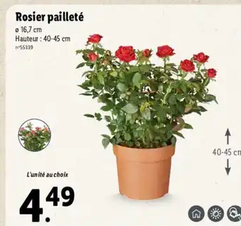 Lidl Rosier Pailleté offre