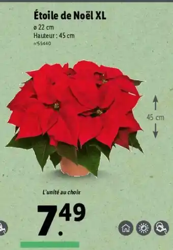 Lidl Étoile de Noël XL offre
