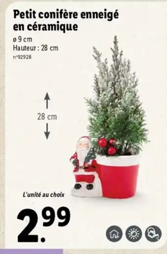 Lidl Petit Conifère Enneigé offre