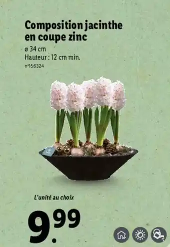 Lidl Composition Jacinthe offre