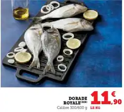 Super U Dorade royale offre