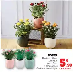 Super U Rosier offre