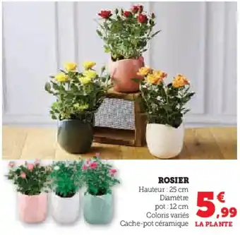 Super U Rosier offre