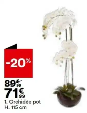 BUT Orchidée pot H. 115cm offre
