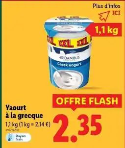 Lidl Yaourt à la grecque offre