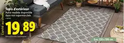 Lidl TAPIS D’EXTERIEUR offre