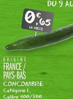 G20 Concombre offre