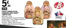 Schleich 13950 haflinger stute offre
