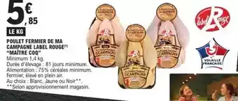 Schleich 13950 haflinger stute offre