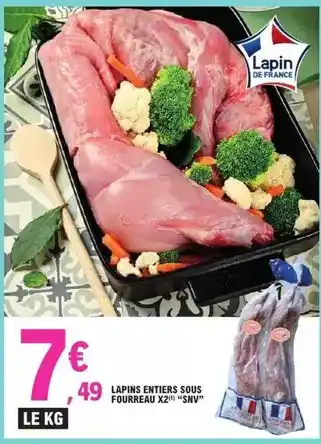 Schleich Fjord - pferd offre