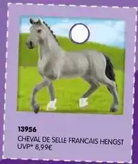 Cheval de selle francais hendst