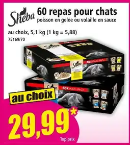 Norma SHEBA 60 repas pour chats offre