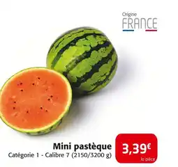 Colruyt Mini pastèque offre