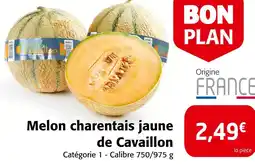Colruyt Melon charentais jaune de Cavaillon offre
