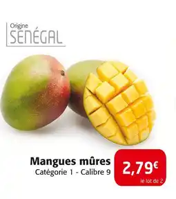 Colruyt Mangues mûres offre
