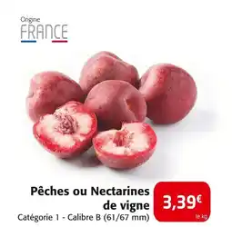 Colruyt Pêches ou Nectarines de vigne offre