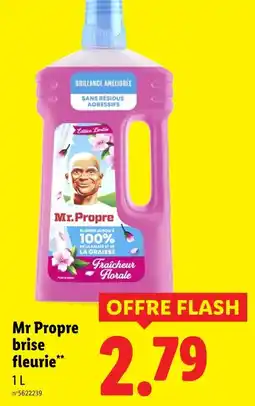 Lidl Mr. Propre Mr Propre brise fleurie offre