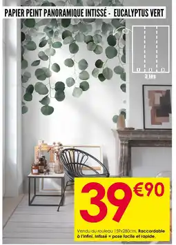 Décor Discount Papier Peint Panoramique Intissé - Eucalyptus Vert offre