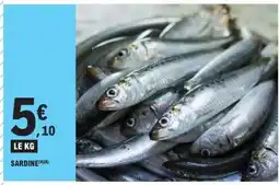 E.Leclerc SARDINE offre