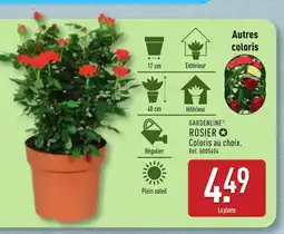 ALDI GARDENLINE Rosier offre