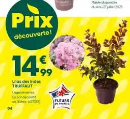 Truffaut TRUFFAUT Lilas des Indes offre