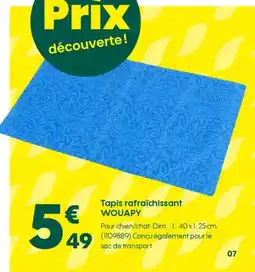 Truffaut WOUAPY Tapis rafraîchissant offre