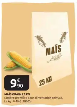 Rural Master Maïs grain offre