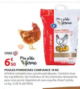 Rural Master Poules pondeuses confiance offre