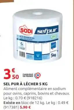 Rural Master Sel pur à lécher offre