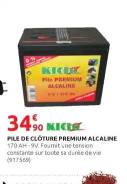 Rural Master Pile de clôture premium alcaline offre