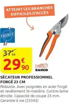 Rural Master Sécateur professionnel forge offre