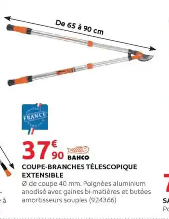 Rural Master Coupe-branches télescopique extensible offre