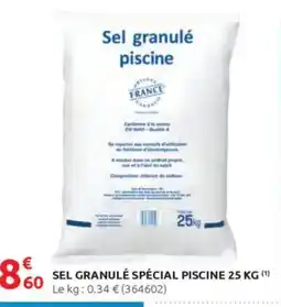 Rural Master Sel granulé spécial piscine offre