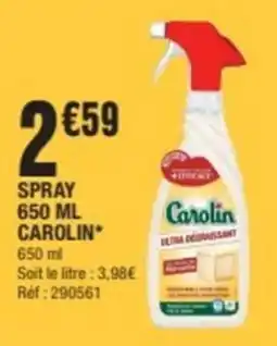 La Foir'Fouille CAROLIN Spray offre