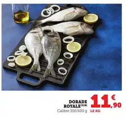 Bi1 Dorade royale offre