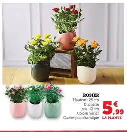 Bi1 Rosier offre