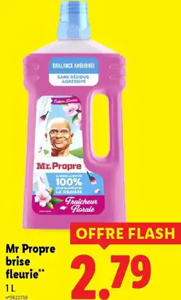 Lidl Mr Propre brise fleurie offre