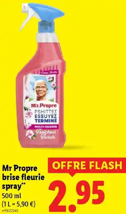 Lidl Mr Propre brise fleurie spray offre
