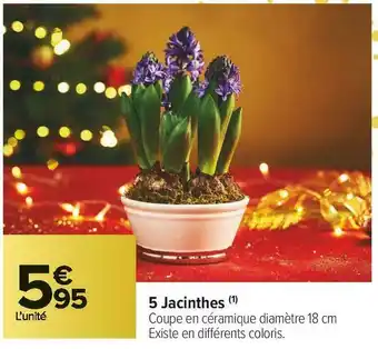 Carrefour Market 5 jacinthes offre