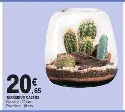 E.Leclerc TERRARIUM CACTUS offre