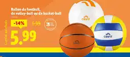 Lidl CRIVIT Ballon de football de volley-ball ou de basket-ball offre