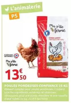 Rural Master Complet - poules pondeuses confiance offre
