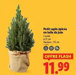 La Foir'Fouille Intex - lunettes de nation offre