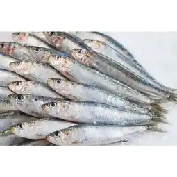 Carrefour CARREFOUR Sardine offre