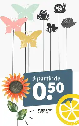 Wibra Pic de jardin offre