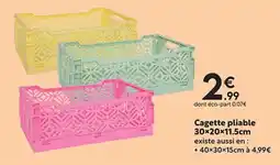 Maxi Bazar Cagette pliable 30×20×11.5cm offre