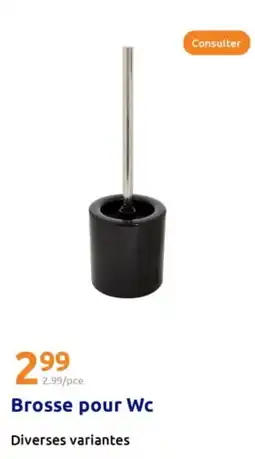 Action Brosse pour Wc offre