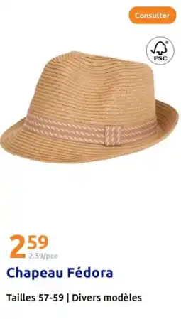 Action Chapeau Fédora offre