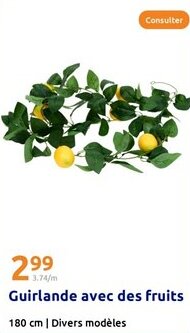 Action Guirlande avec des fruits offre